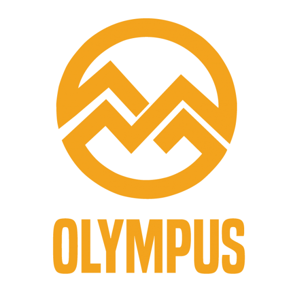 Olympus Alloy Mountain Bike Wheels