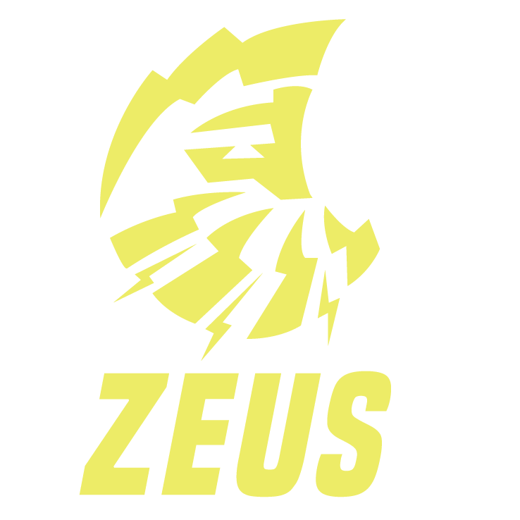 Zeus Road Carbon Wheels