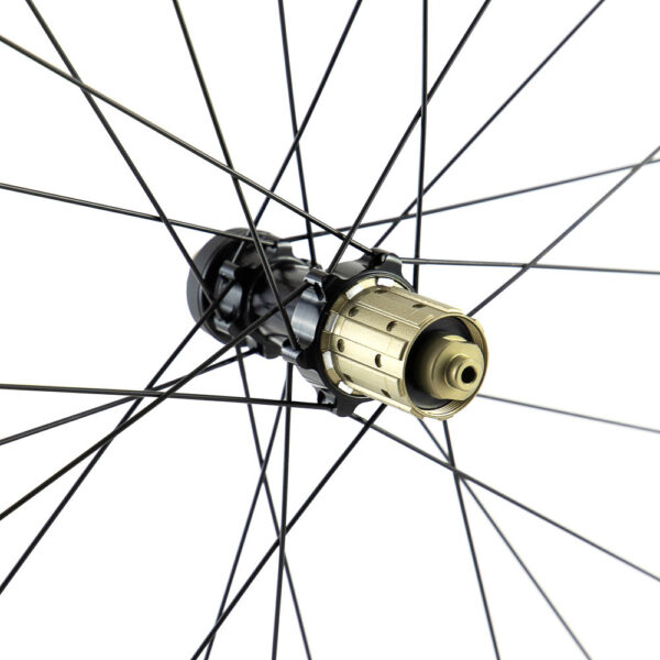 P19 Disc Hub Freehub Detail