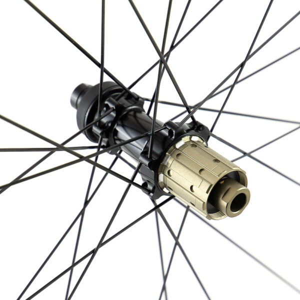 P19 Disc Thru Axle Hub Freehub Detail